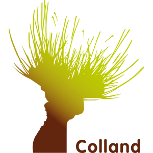LOGO_Colland_FC
